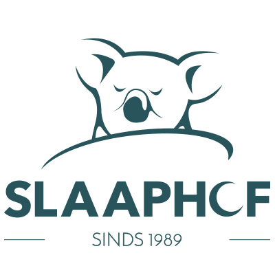 Logo Veiling website Slaaphof